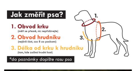 Infografika: Ako správne merať psa na postroj (obvod hrudníka, obvod krku, dĺžka chrbta)
