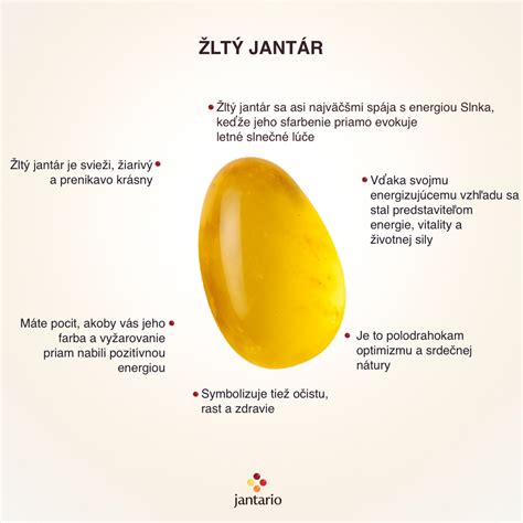 Infografika: Vzhľad, veľkosť a farby katalánskeho ovčiaka