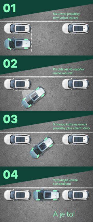 fantasticka infografika: tipy pre hygienu a vycvik steniatok jazvecov