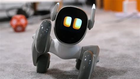 Pokročilý robotický spoločník Loona