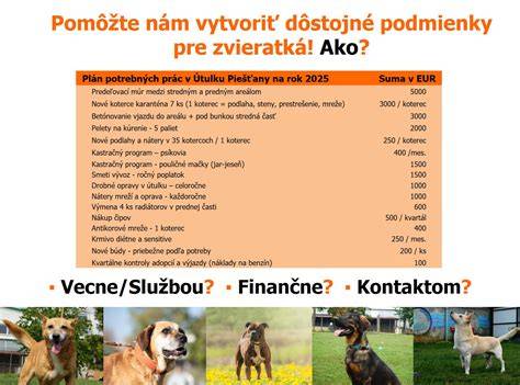 Schéma enrichment aktívností pre psy