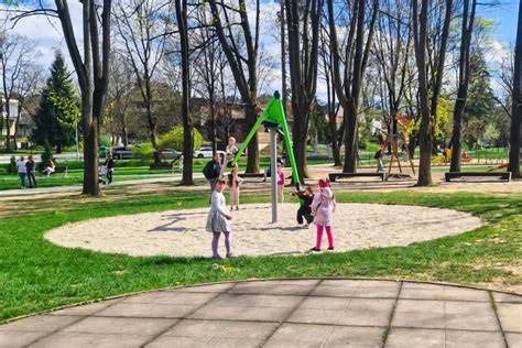 Obrázok: Deti v parku sa hrajú s domácimi miláčikmi