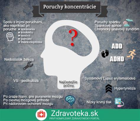 infografika: príčiny a postupy starostlivosti o psie oči