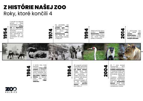 Infografika: Cenné tituly a roky úspechov Biewer teriéra