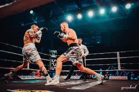 boxer_trening_a_vychova