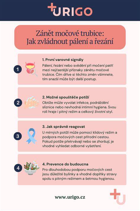 Infografika: Ako správne zvládnuť kúpeľ psa krok za krokom