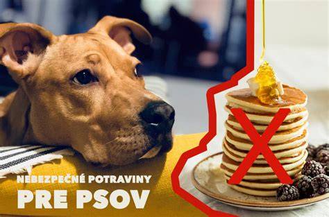 Obrázok: Bezpečné a nebezpečné potraviny pre psov