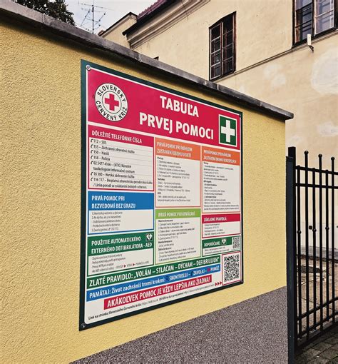 Infografika: ako rozpoznať podchladenie psov a kroky prvej pomoci