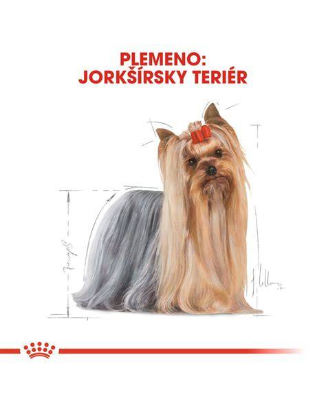 Infografika: Porovnanie veľkostí a temperamentov jorkšírskeho teriéra, jazveca a krížencov