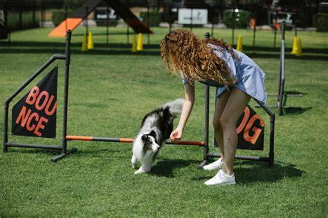 Obr. 5: Psí športy s pastierskym psom - agility a obedience