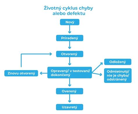 Infografika: Životný cyklus srsti alebo sprievodca štyroch typov srsti psa a mačky