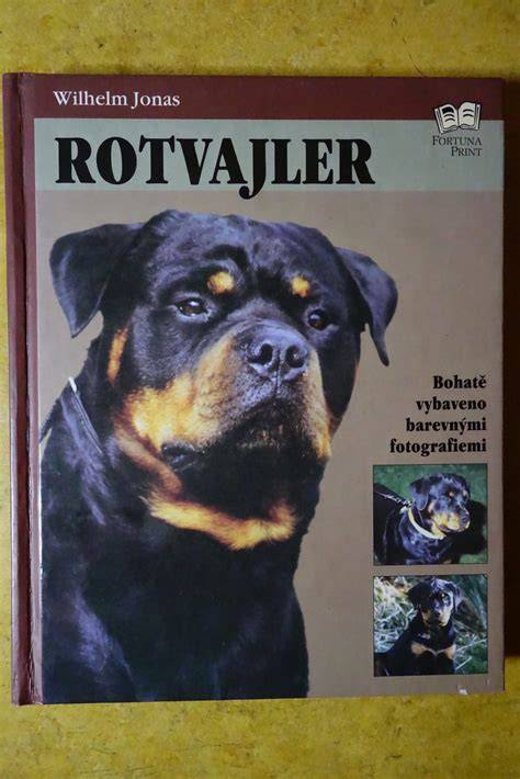 Rotvajler: ilustratívny profil a fyzická konštitúcia