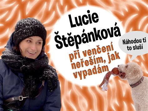 Smečka dingov pri love
