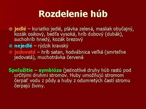 Infografika: Rozdelenie húb na toxické, jedlé, a bezpečné pre psov