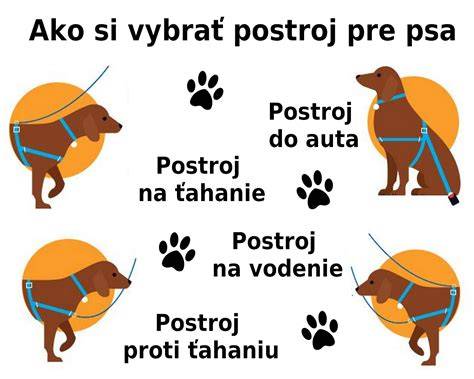 Infografika: Ako správne zmerať psa na postroj