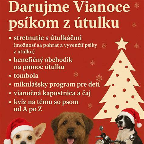 Infografika: Denná rutina v psom útulku a hlavné úlohy ošetrovatelov