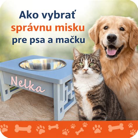 Infografika: Ako vyberáme správnu veľkosť hračky pre psa a riziká prehltnutia
