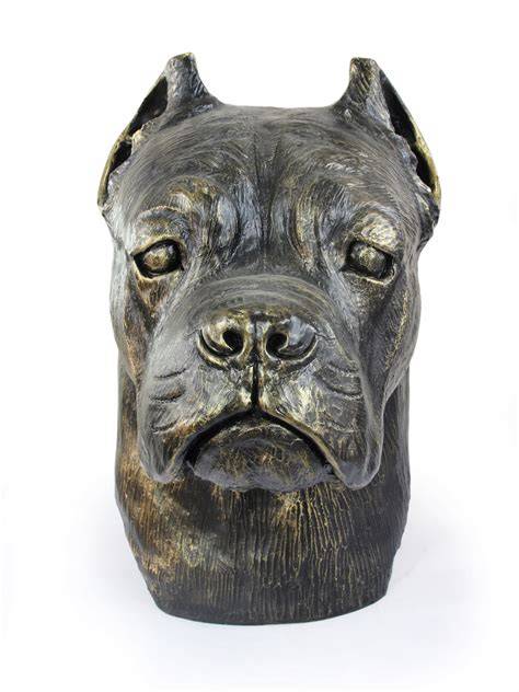 anatómia Cane Corso - hlava a telo