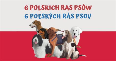 História ruských psov