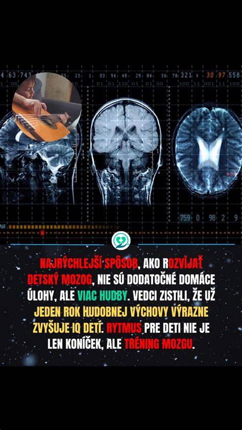 Infografika: Schéma základných domén kognície psa (pamäť, pozornosť, flexibilita, inhibícia, sociálne poznávanie)