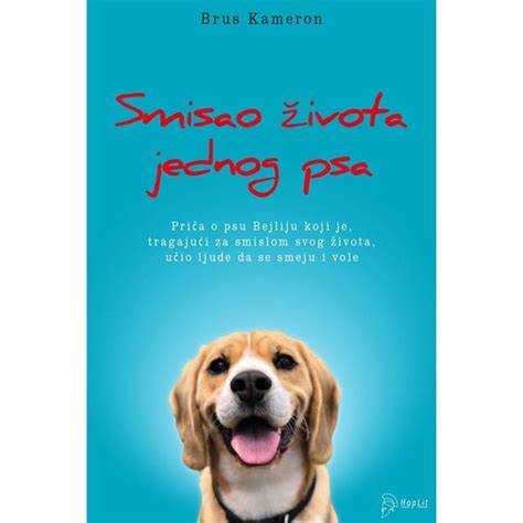 Grafika: Životné etapy psa a signály na konci života