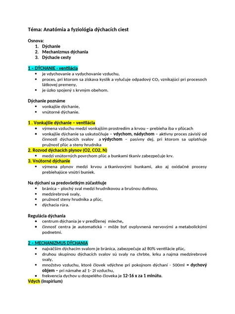 Anatomia dýchacích ciest psa