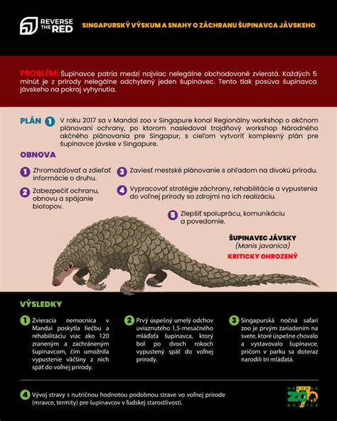 Infografika: anatomické partie stredného bradáča a odporúčané trymy