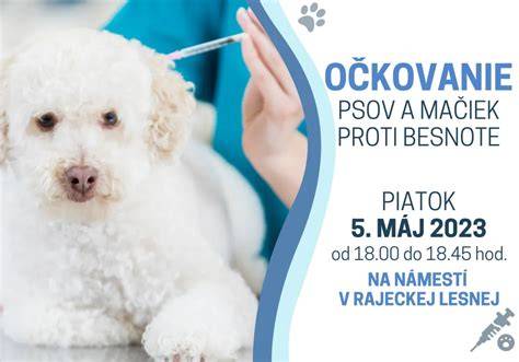 Infografika: Porovnanie potrieb psov a mačiek v rodinách