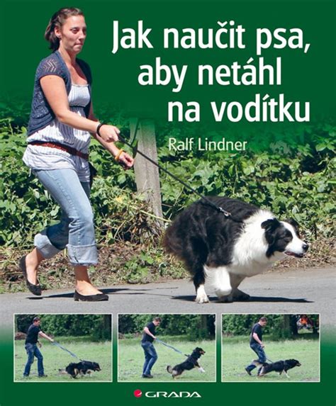 Obrázok: ilustračná snímka psa na vodítku