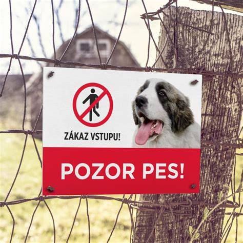Pozor pes - personalizovaná tabuľka na plot (ukážka dizajnu)
