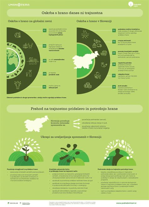 Infografika s postupom presadzania orchideí