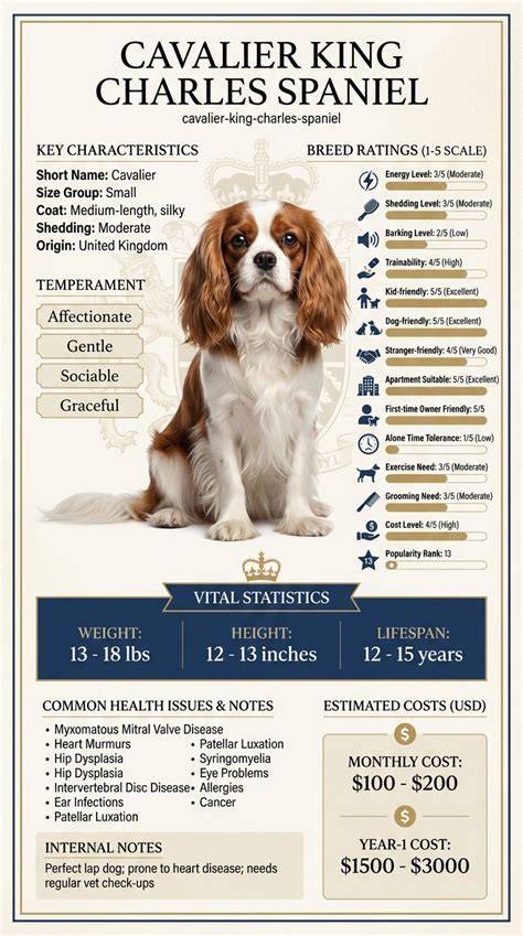 Infografika: MMVD u Cavalier King Charles Spaniel - priebeh ochorenia a diagnostické kroky