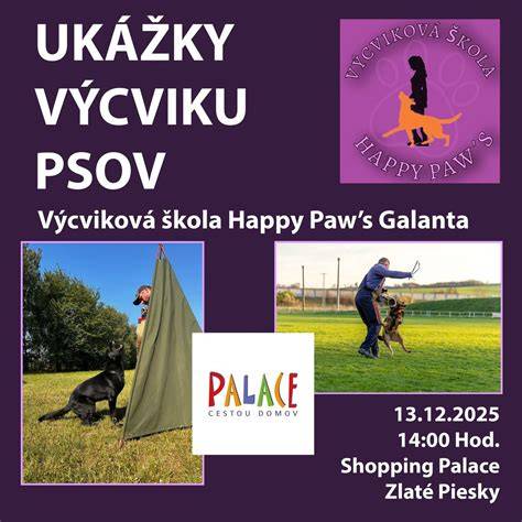 <tagimg>Oblečky pre psov - ukážky vybraných modelov a ich vlastnosti