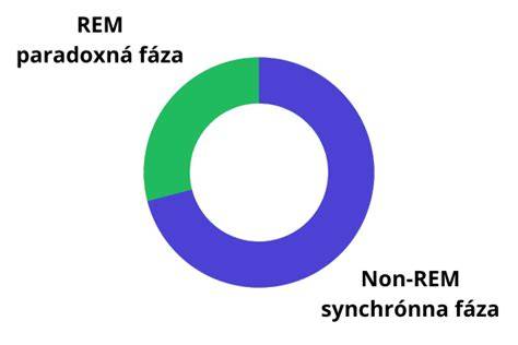 Infografika o spánku psov: REM vs NREM fázy, priemerný čas v REM a celkové percentá času stráveného v jednotlivých fázach
