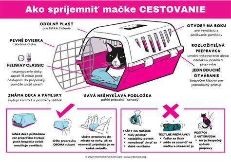 Infografika: Ako vybrať správnu prepravku a jej rozmery