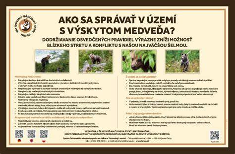 Grafické znázornenie pravidiel správania pri stretnutí s medveďom