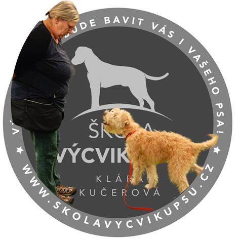 Infografika: Cykly výcviku záchranárskeho psa (štart - základný výcvik - špecializácia - skúšky - nasadenie)