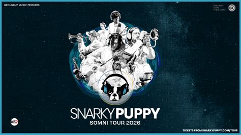 Infografika: Hlavné míľniky Snarky Puppy