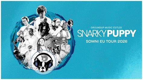 Graf dynamiky členov Snarky Puppy v čase