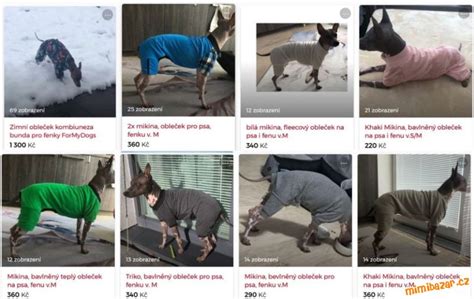 Ilustrácia porovnávajúca psa a fenu