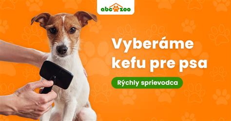 Infografika: Ako pripraviť auto a vybrať bezpečnostné vybavenie pre psa