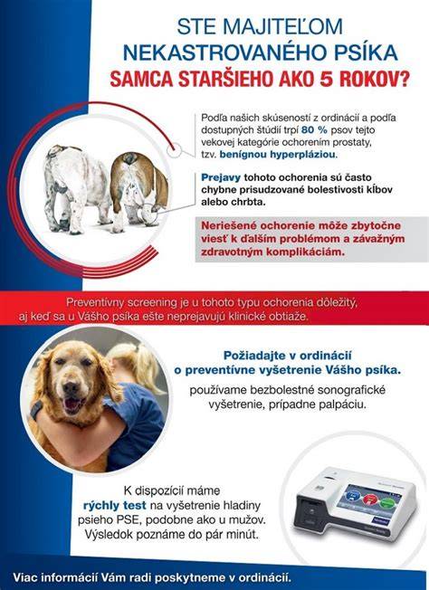 Infografika: Základné zložky a mechanizmy liečby OA u psov