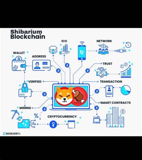 Infografika: Ekosystém SHIB a jeho hlavné komponenty (SHIB, BONE, LEASH) v kontexte Ethereum a ShibaSwap