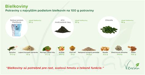 Infografika porovnávajúca obsah bielkovín a tukov v rôznych krmivách pre psov