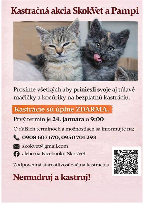 Infografika o možnostiach posledného rozlúčenia psa: domáce pochovanie, kafiléria, krematórium