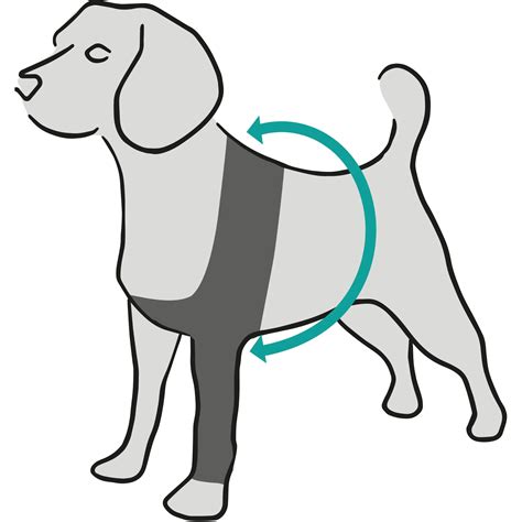 Ilustrácia psa zdvíhajúceho nohu pri značkovaní