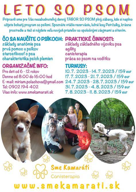 Infografika: Možnosti posledného rozlúčenia so psom