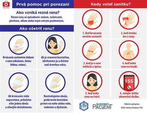 Infografika - Prvá pomoc pri poranení labky psa