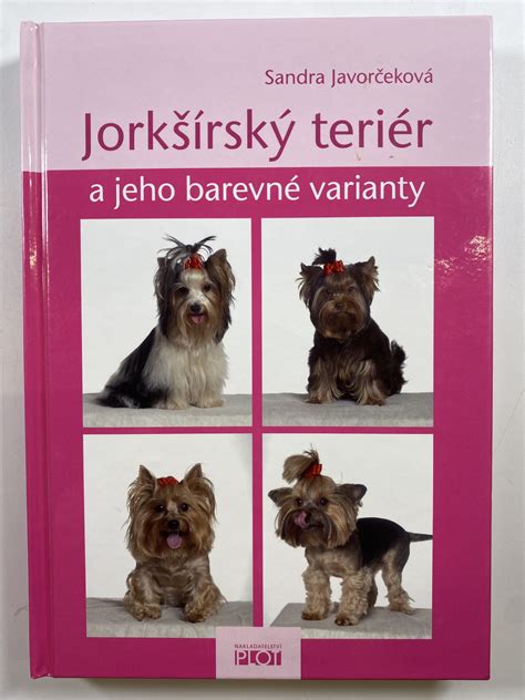 Yorkshire teriér a jeho farebné varianty