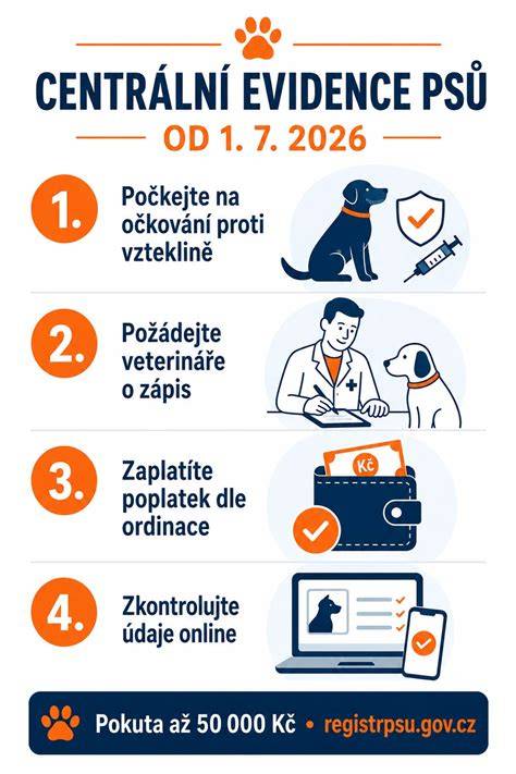Infografika: kroky pri zvracaní psa, vrátane včasného kontaktovania veterinára, hladovania, zavedenia ľahkej stravy a sledovania hydratácie